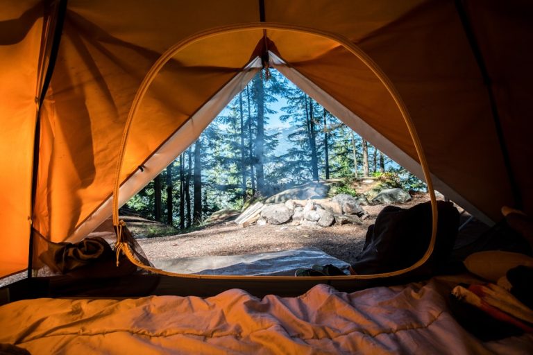 Embracing the Unknown: A Journey into the Wilderness