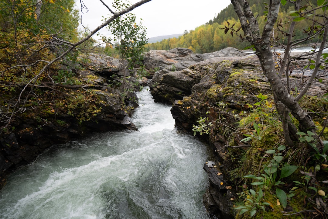 The Thrill of Backpacking: Embracing Nature on a Budget