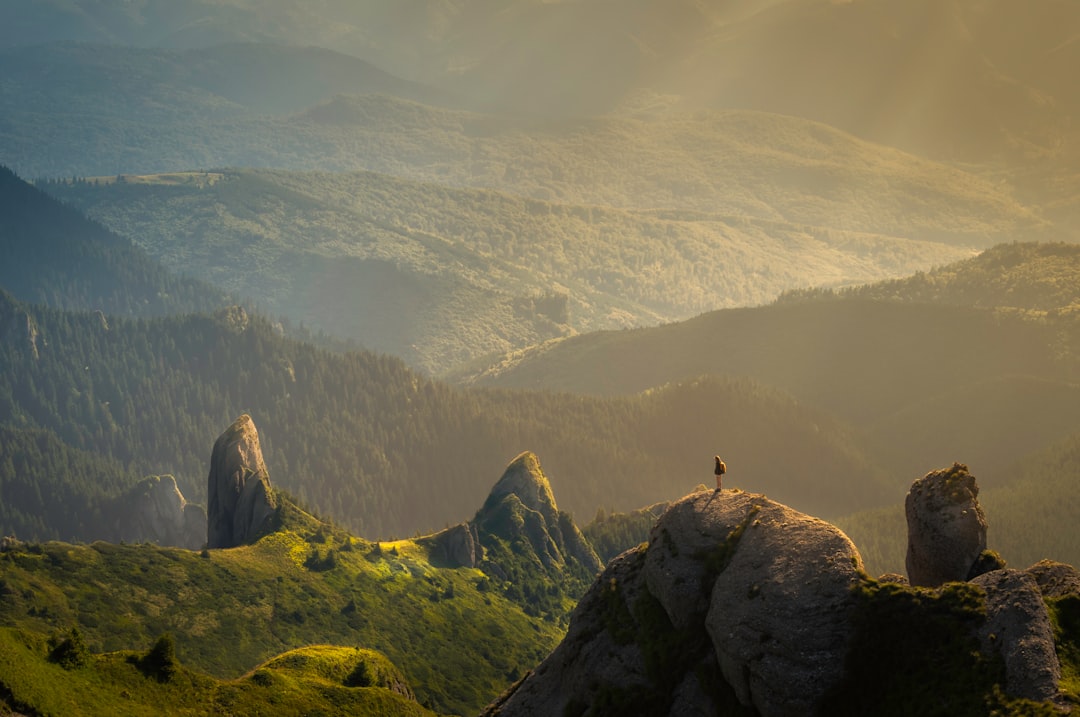Sustainable Sojourns: Embracing Eco-Friendly Travel for a Greener Future