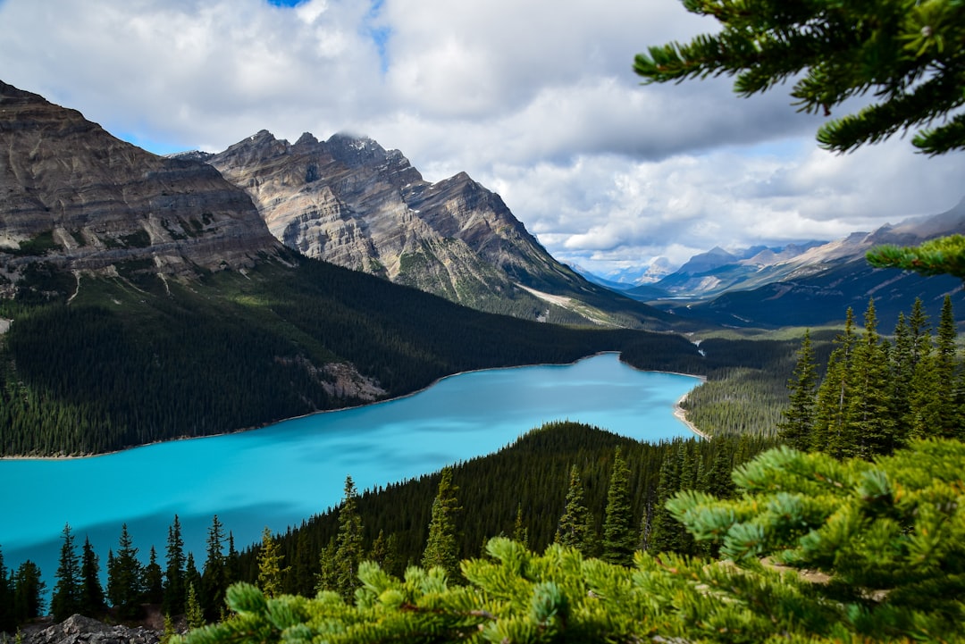 Embracing the Wilderness: A Journey into the Heart of Outdoor Travel